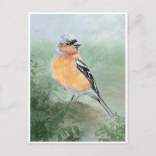 Carte Postale Chaffinch mignon, Aquarelle Collection d'oiseaux