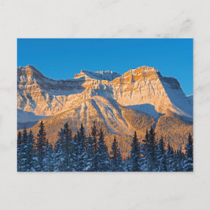 Carte Postale Chaîne Waputik dans les montagnes Rocheuses canadi