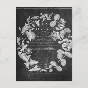 Carte Postale chalkboard scripts d'art botanique français lierre