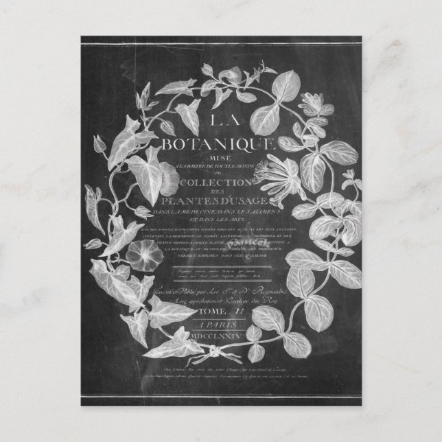 Carte Postale chalkboard scripts d'art botanique français lierre (Devant)