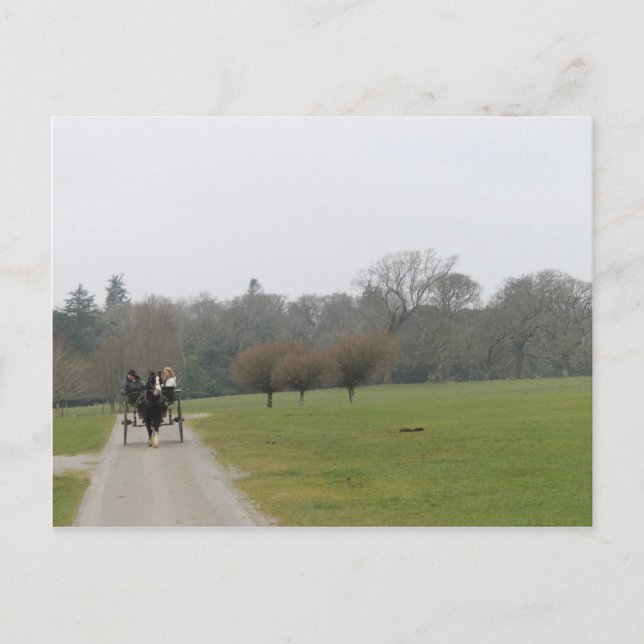Carte Postale Chambre de Muckross, Killarney Irlande (Devant)