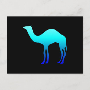 Carte Postale Chameau Bleu