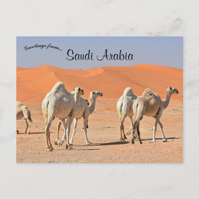 Carte Postale Chameaux dans le désert Arabie Saoudite (Devant)