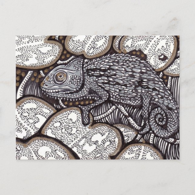 Carte Postale Chameleon (Devant)