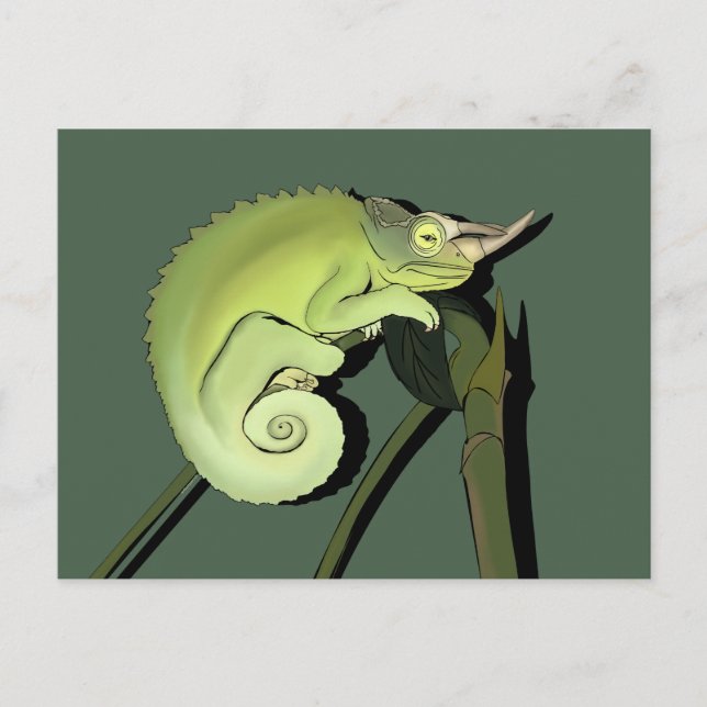 Carte Postale Chameleon de Jackson (Devant)
