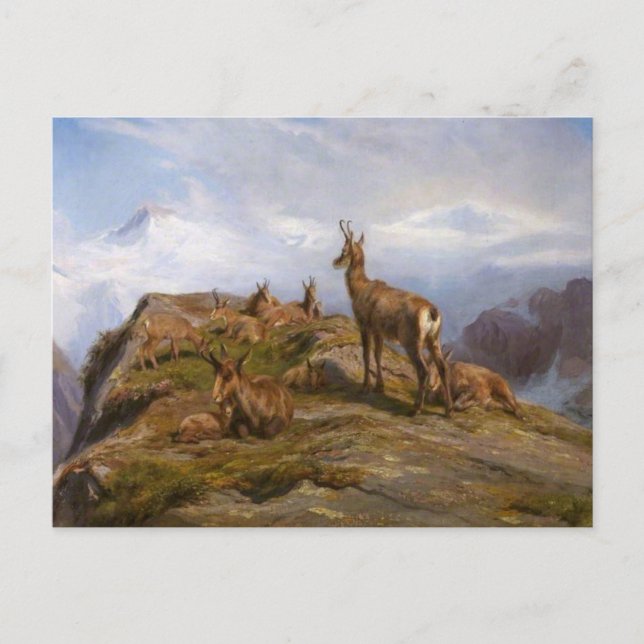 Carte postale Chamois de Rosa Bonheur (Devant)