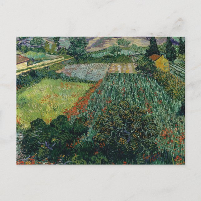 Carte Postale Champ avec des pavois | Vincent van Gogh (Devant)