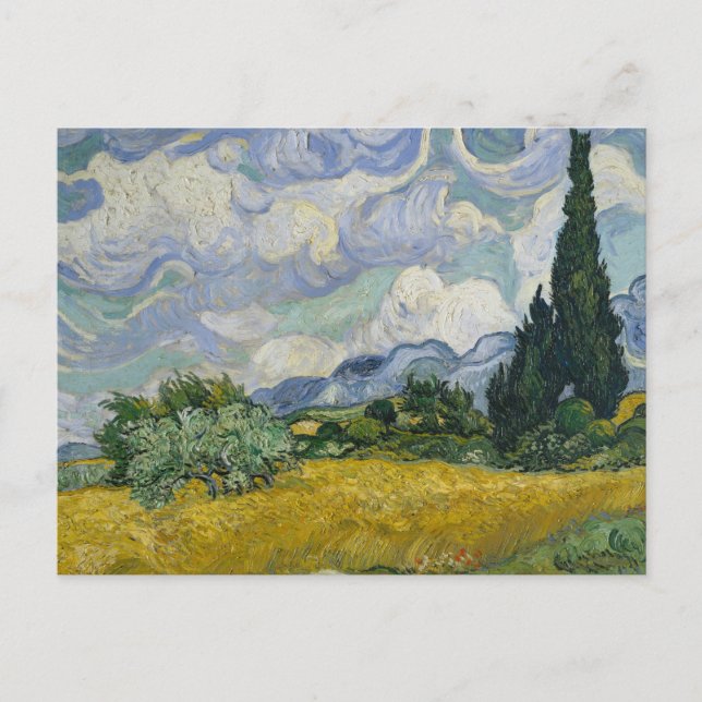 Carte Postale Champ de blé avec cyprès : (Devant)