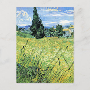 Carte Postale Champ de blé vert avec cyprès,