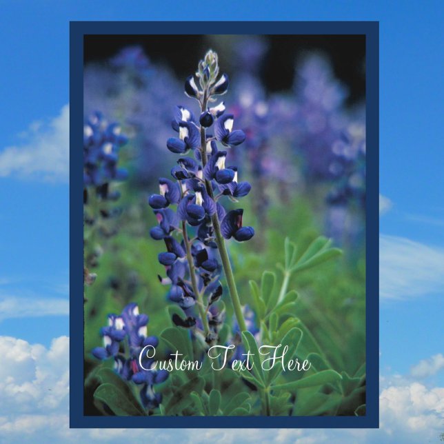 Carte Postale Champ de Bleuet Bleu Fleur Texas état (Créateur téléchargé)