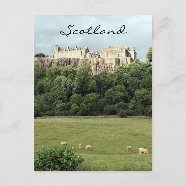 Carte Postale champ de brebis du château de stirling (Devant)
