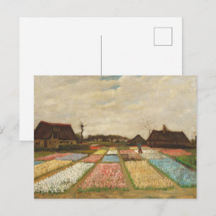Carte Postale Champ de bulbes, peinture à l'huile de Vincent Van