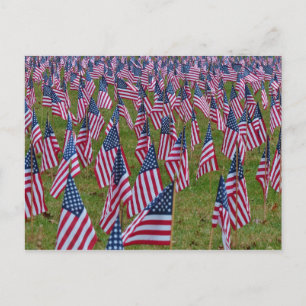 Carte Postale Champ de drapeaux - Drapeaux américains commémorat