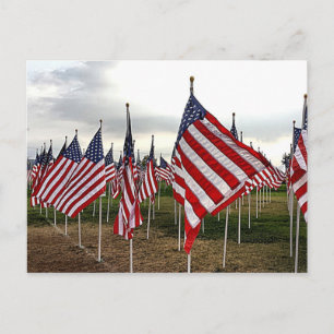 Carte Postale Champ de drapeaux - drapeaux américains patriotiqu