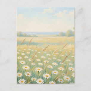 Carte Postale Champ de fleurs sauvages de marguerites blanches e