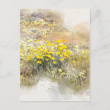 Champ de la PostCard de Poppies