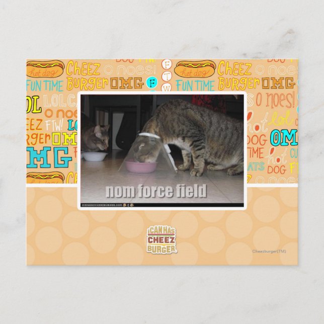 Carte Postale champ de nom force (Devant)