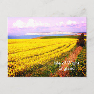 Carte Postale Champ jaune et falaises blanches de l'île de Wight