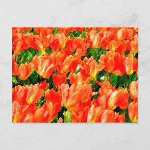 Carte Postale Champ orange de tulipes