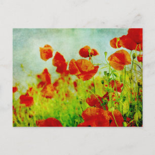 Carte postale Champ Poppy