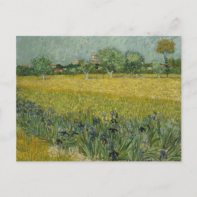 Carte Postale Champ Van Gogh Avec Fleurs Près D'Arles (Devant)