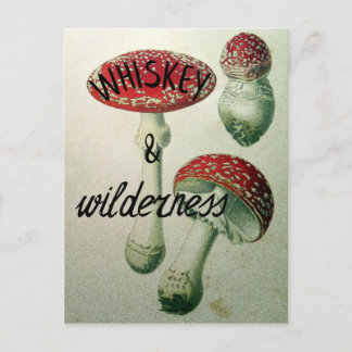 Carte Postale Champignon de whiskey et de région sauvage