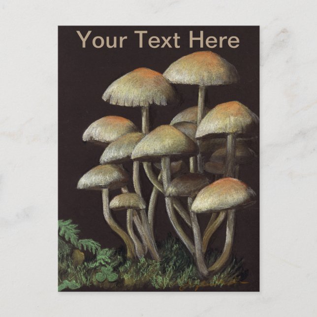 Carte Postale Champignons (Devant)