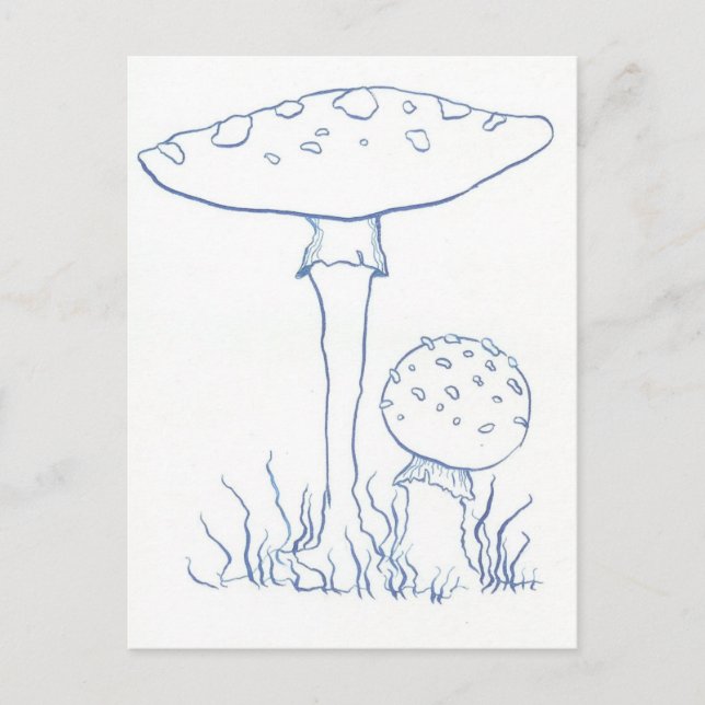 Carte Postale Champignons bleus (Devant)