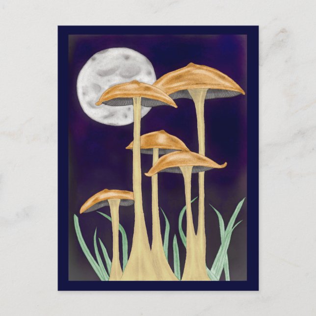 Carte Postale Champignons dans le clair de lune (Devant)