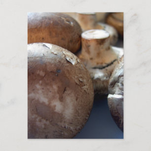 Carte Postale Champignons de Crimini