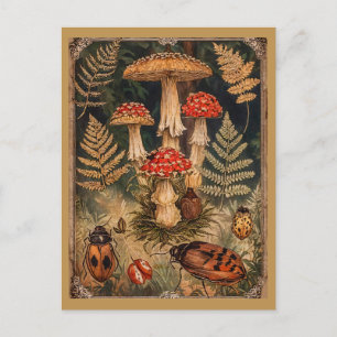 Carte Postale Champignons de la forêt vintage - Message d'automn