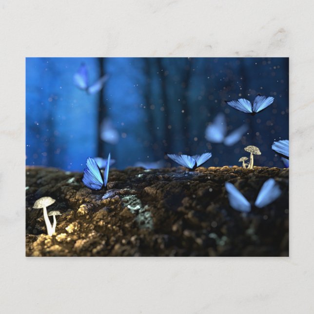 Carte Postale Champignons luminescents (Devant)