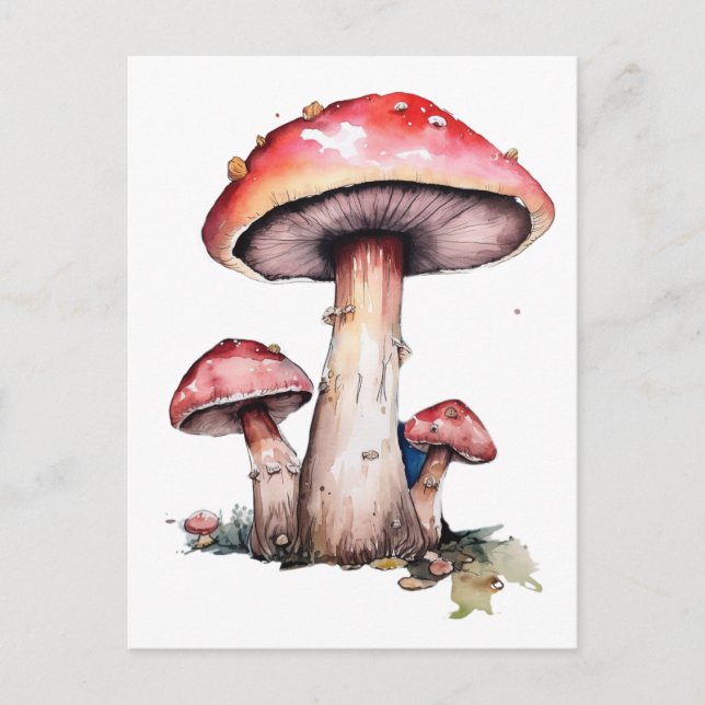 Carte Postale Champignons rouges (Devant)