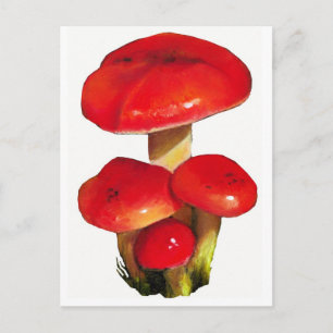Carte Postale Champignons rouges brillants : huile Pastel Art su