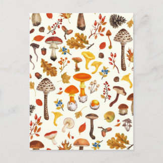 Carte Postale Champignons sauvages sur blanc