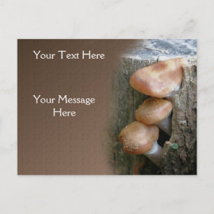 Carte Postale Champignons sur la nature de souche