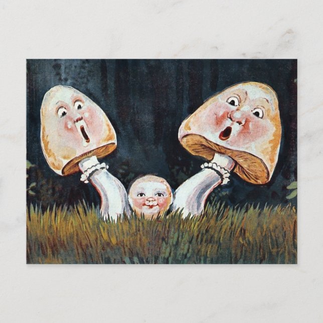 Carte Postale Champignons vintages (Devant)