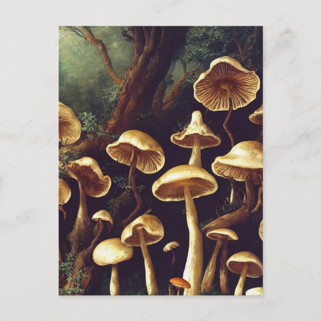 Carte Postale Champignons vintages (Devant)