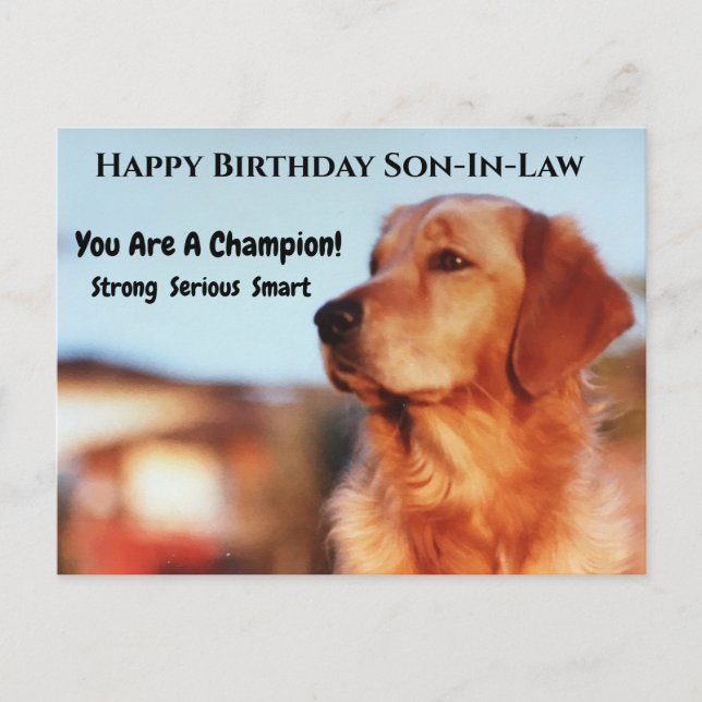 Carte Postale Champion de gendre d'anniversaire Golden Retriever (Devant)