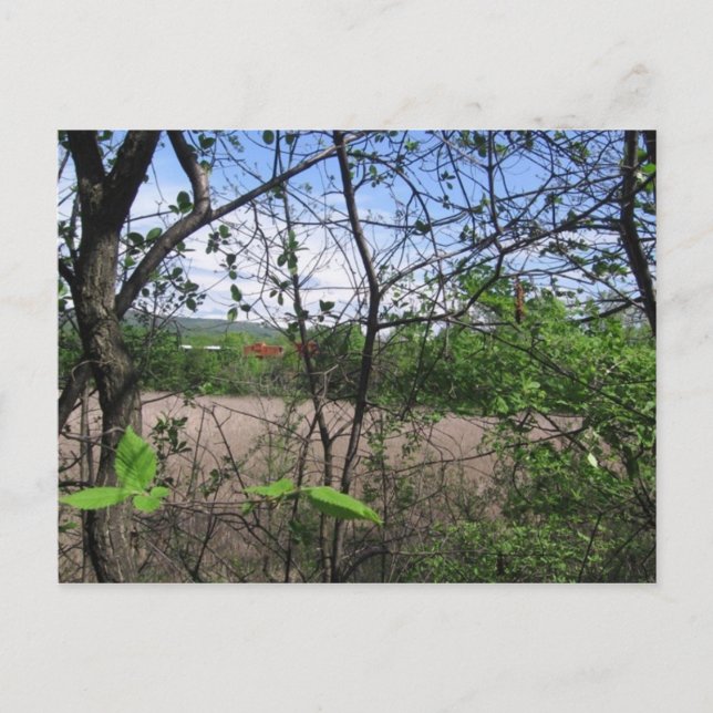 Carte Postale champlain (Devant)