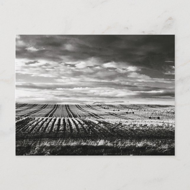 Carte Postale champs agricoles (Devant)
