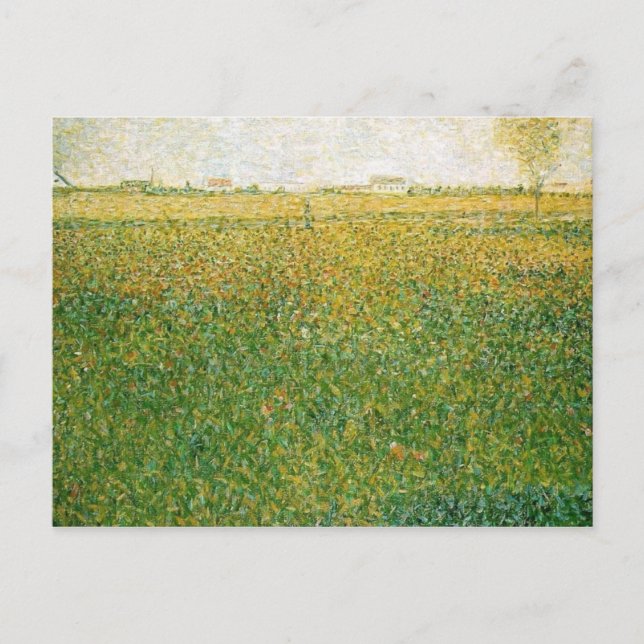 Carte Postale Champs Alfalfa (Devant)