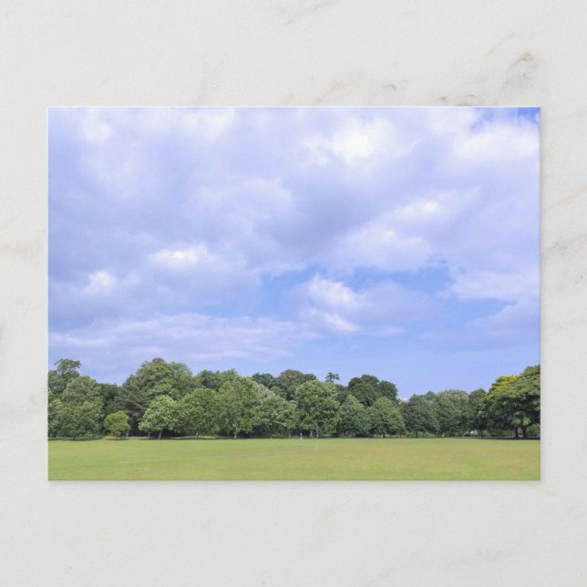 Carte Postale Champs Blackweir. Bute Park, Cardiff, Wales. (Devant)