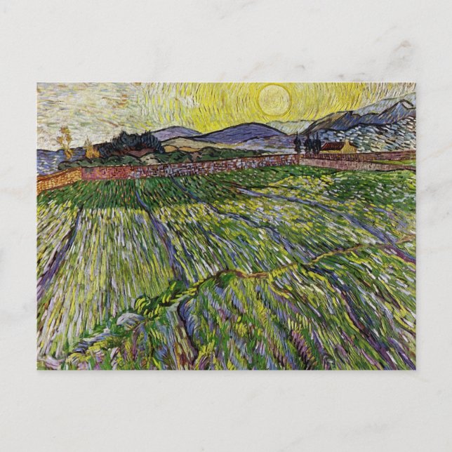 Carte Postale Champs de blé par Van Gogh (Devant)