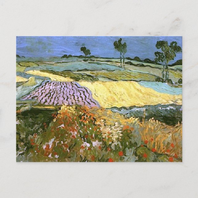 Carte Postale Champs de blé près d'Auvers Van Gogh (Devant)