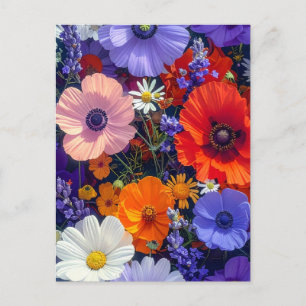 Carte Postale Champs de fleurs colorés
