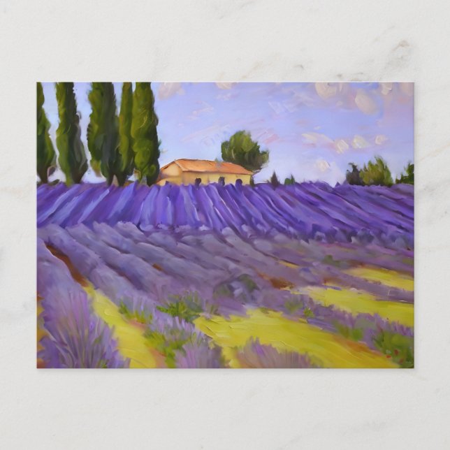 Carte Postale Champs de fleurs de lavande (Devant)