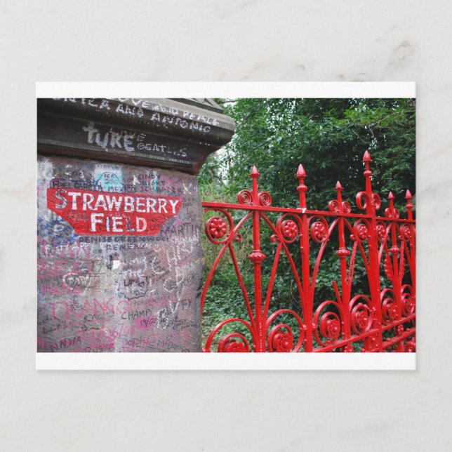 Carte Postale Champs de fraises Liverpool (Devant)