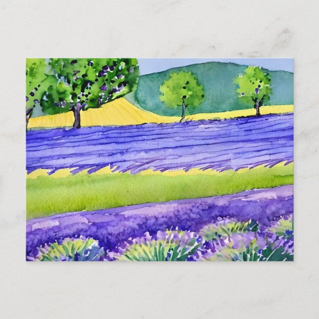Carte Postale Champs de lavande France (Devant)