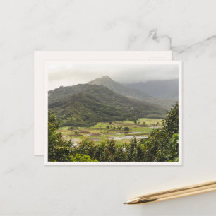 Carte Postale Champs de tarot de Kauai à Hanalei depuis Princevi